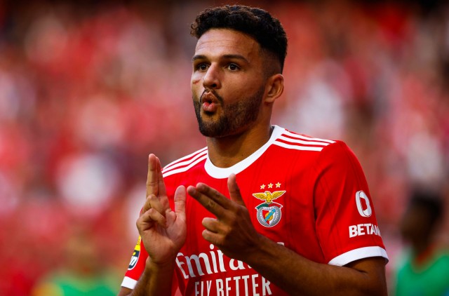 Gonçalo Ramos sous le maillot de Benfica