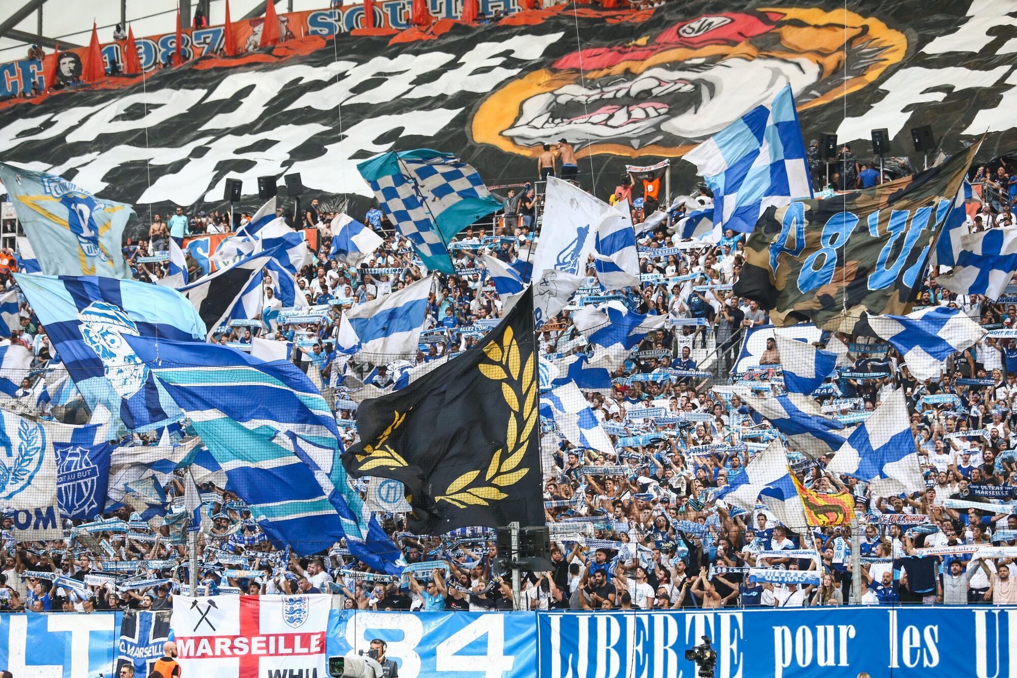 Des supporters de l'OM